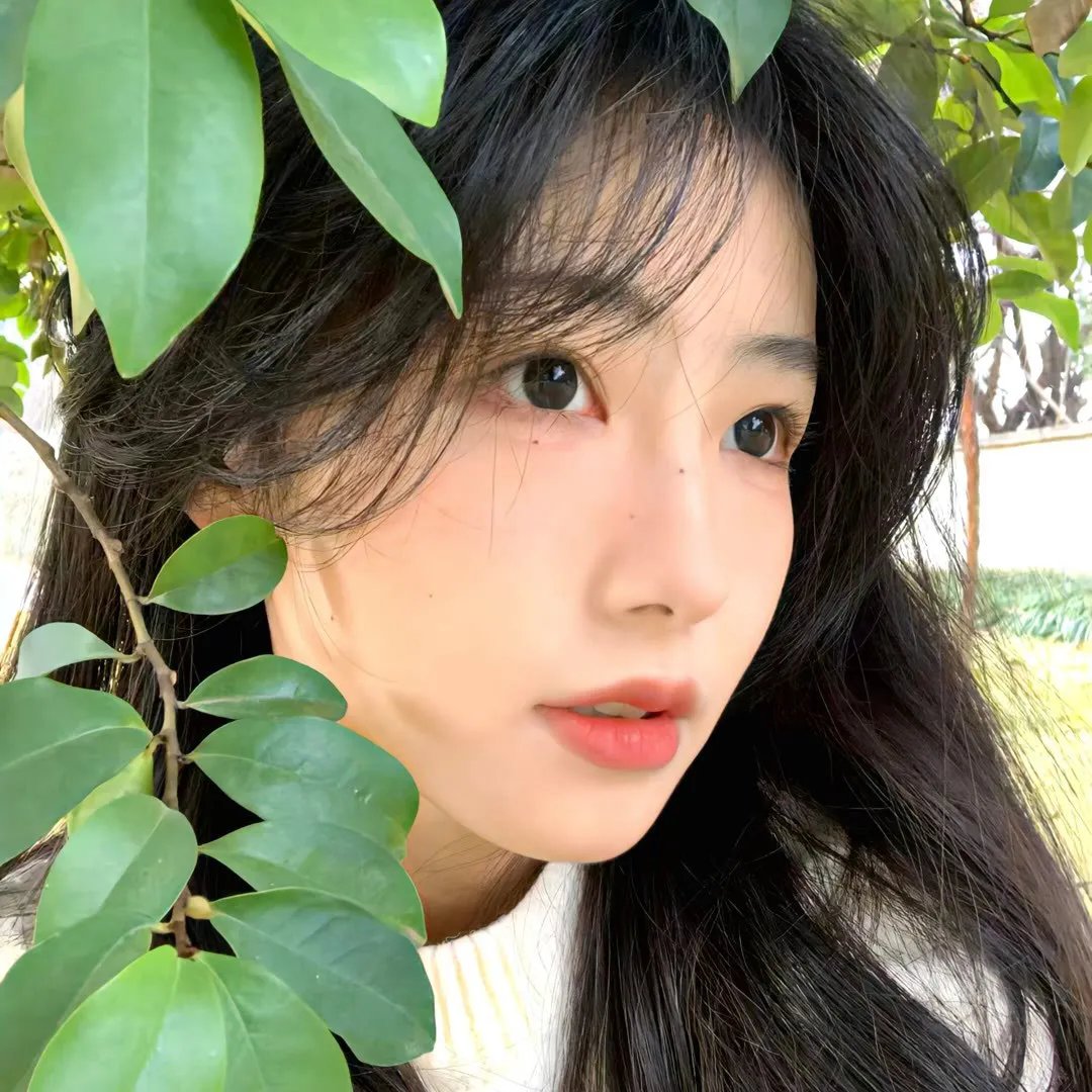 书灵记
