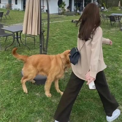 内德的步枪